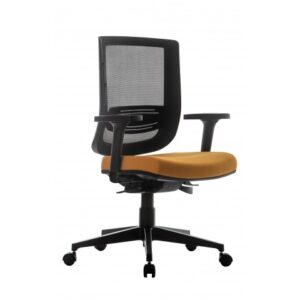 Cadeira Staff Triton