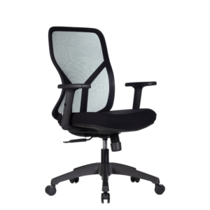 Cadeira Ergonômica Lina NR 17